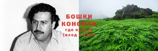 крисы Усинск