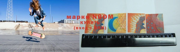 прущие грибы Армянск