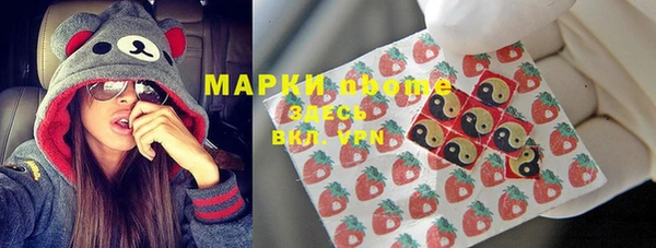 прущие грибы Армянск