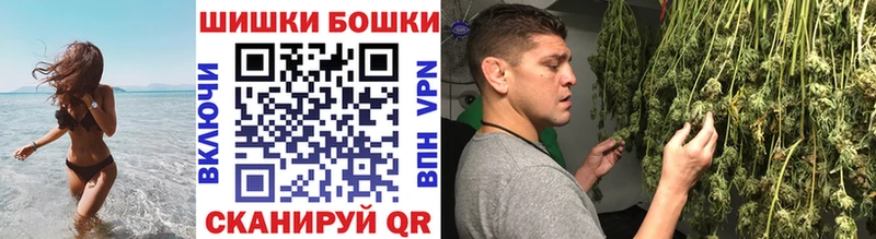 как найти наркотики  Чудово  Конопля тримм 